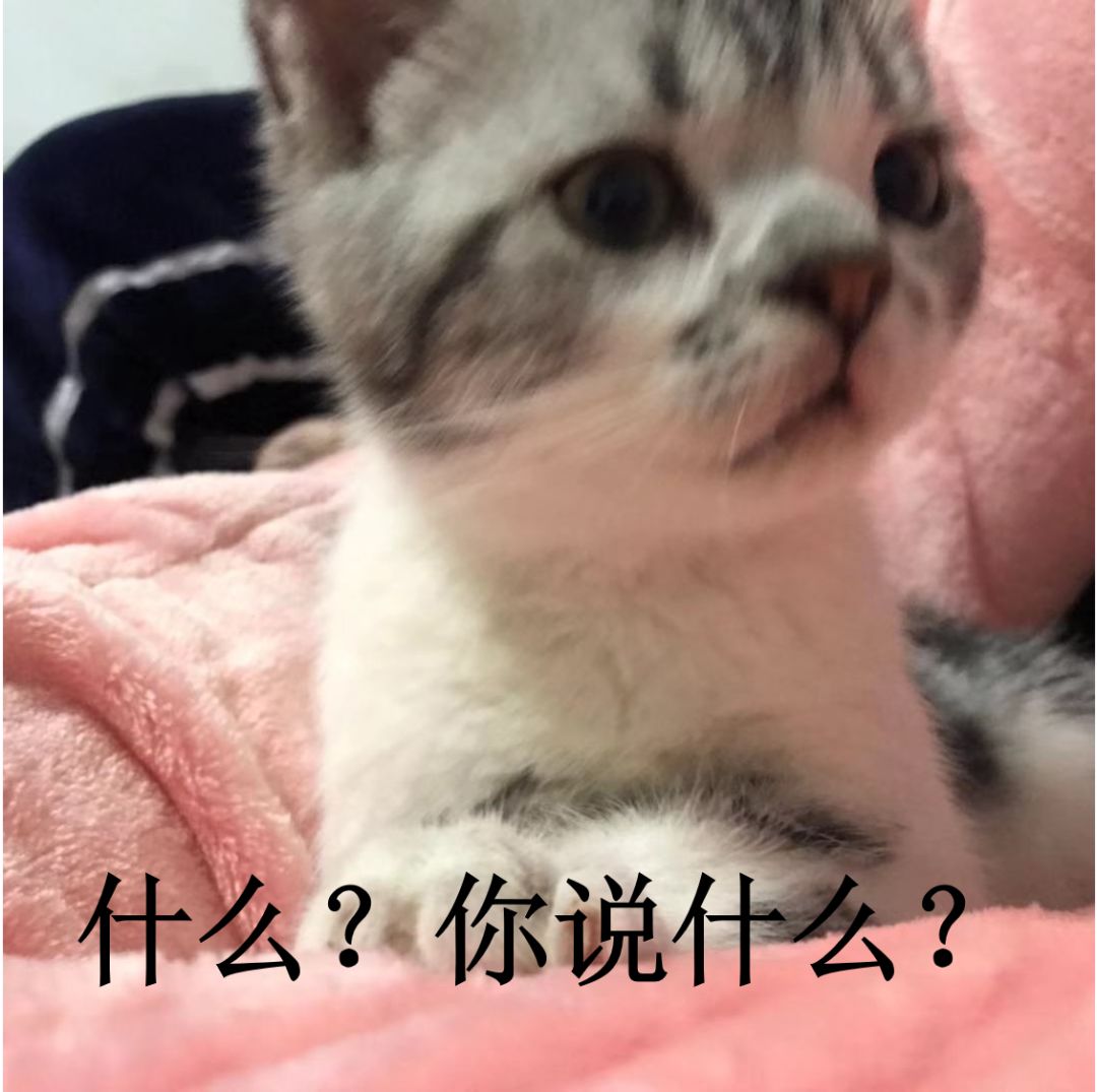 DƬ